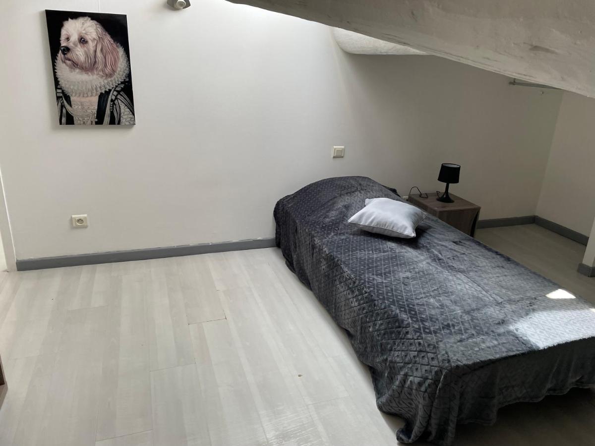Appartement Des Penitents Saintes-Maries-de-la-Mer Luaran gambar